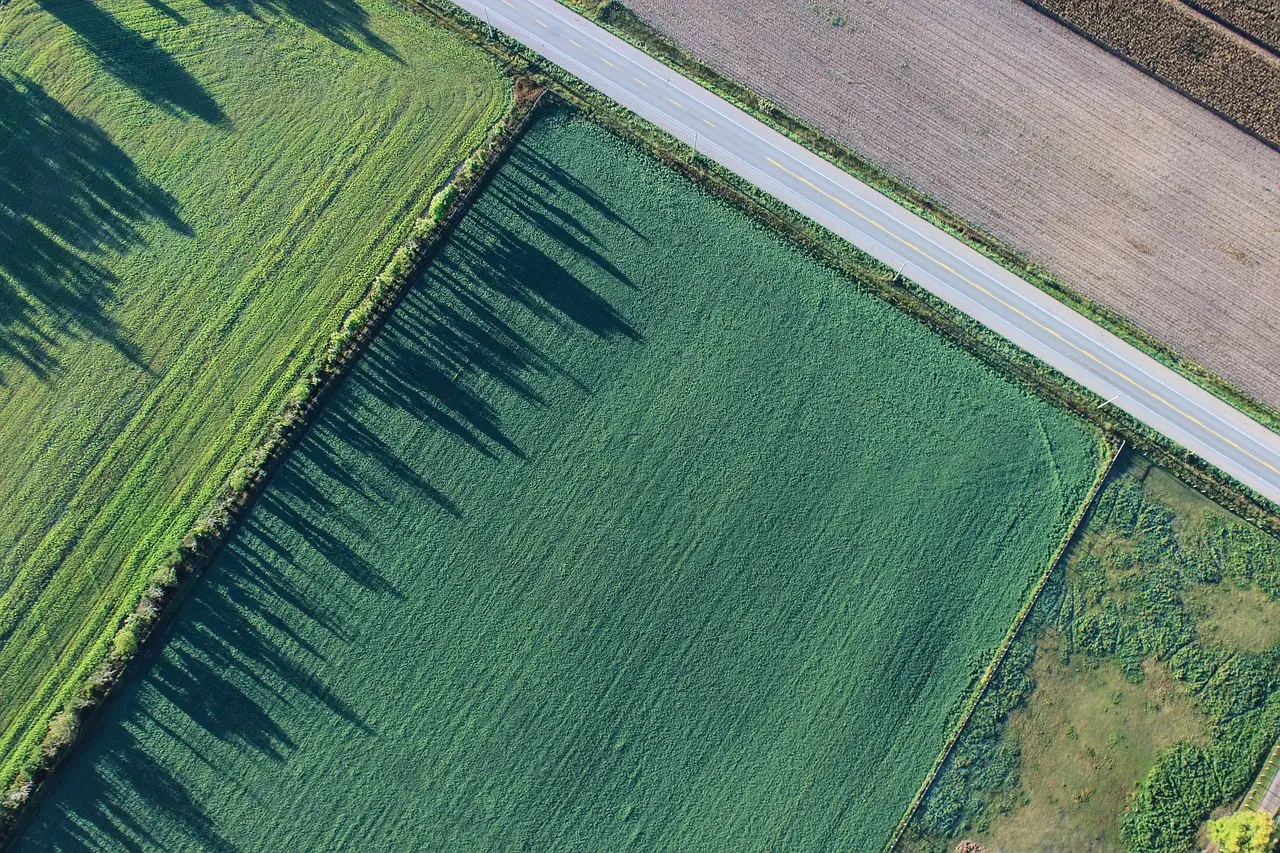 Terreno agricolo inutilizzato: scopri come trasformarlo in una rendita stabile Terreno agricolo inutilizzato: scopri come trasformarlo in una rendita stabile